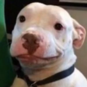 Meet your Posher, Val